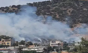 Σε ύφεση η πυρκαγιά στη  Λούτσα - Συνεχίζεται η επιχείρηση κατάσβεσης