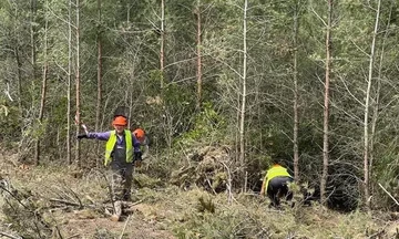  ΥΠΕΝ: Εργασίες καθαρισμού 60 δασικών περιοχών σε όλη τη χώρα