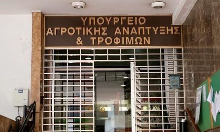 ΥΠΑΑΤ: Έως 20/6 οι αιτήσεις για την αναδιάρθρωση αμπελουργικών εκτάσεων 2022-2023