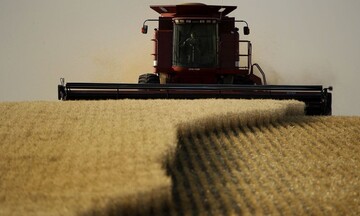 Ουκρανία: Οι εξαγωγές σιτηρών έχουν μειωθεί κατά 55,5% από τις αρχές Ιουνίου