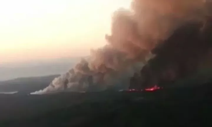 Φωτιά τώρα στην Παλλήνη