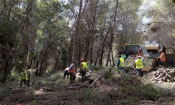 Αυτοψία Γ. Αμυρά σε εργασίες αντιπυρικής πρόληψης στο Νομό Ηλείας