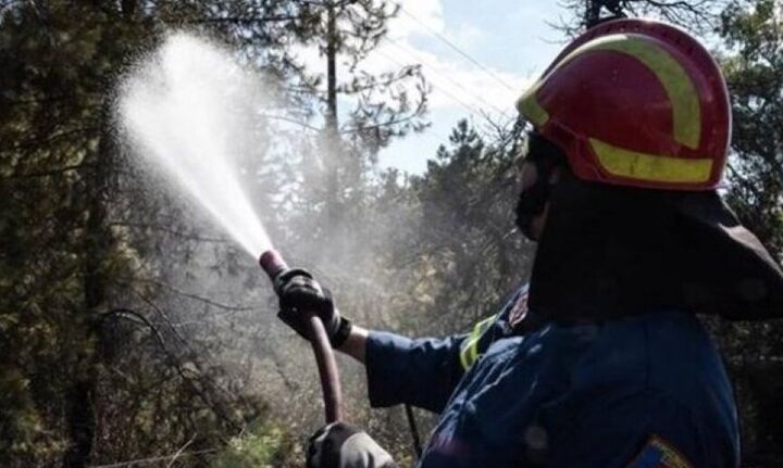  Στ. Πέτσας: Επιπλέον 5,6 εκατ. ευρώ για την πυροπροστασία