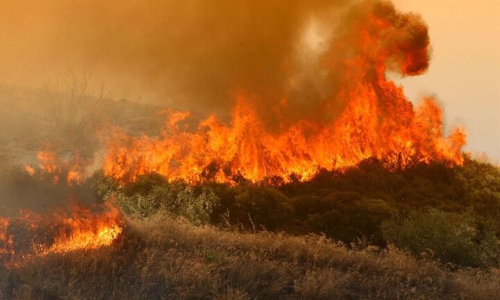 Φωτιά σε δασική έκταση στην Αρκαδία