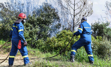 Εύβοια: Οριοθετήθηκε η πυρκαγιά σε δασική έκταση στο Αλιβέρι