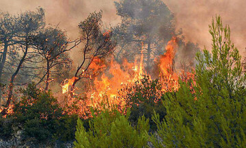 Πάνω από 1.800 δασικές πυρκαγιές φέτος