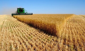 Πόλεμος στην Ουκρανία: Ετήσια πτώση 43% σημείωσαν οι εξαγωγές σιτηρών τον Ιούνιο 