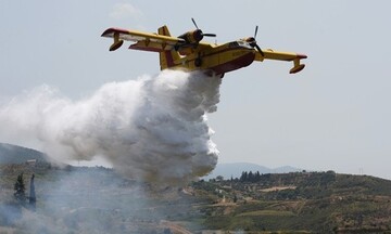 Σε εξέλιξη η φωτιά στην Ηλεία - Ξεκίνησαν να επιχειρούν τα εναέρια μέσα