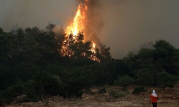 Ανεξέλεγκτη η φωτιά καίει τον Ελαιώνα της Άμφισσας - Εκκενώνεται η Βόρεια Ιτέα (pic & vid)