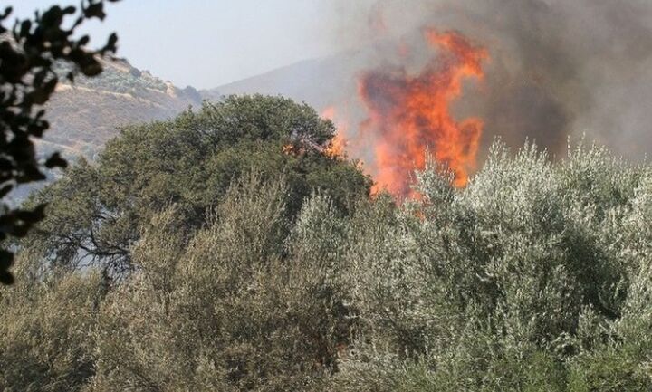 Δυσμενείς οι πυρομετεωρολογικές συνθήκες, σήμερα και την Τετάρτη