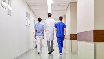 Παγώνη: Αύξηση πάνω από 40% στις εισαγωγές - Αύγουστος με εξάρσεις και υφέσεις