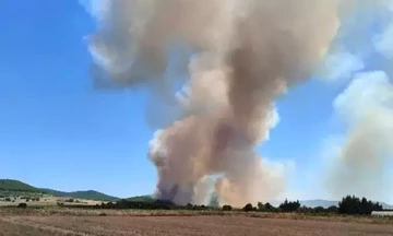 Φωτιά τώρα στο Αρίστεινο στον Έβρο - Εκκενώνονται προληπτικά τα παιδικά χωριά SOS