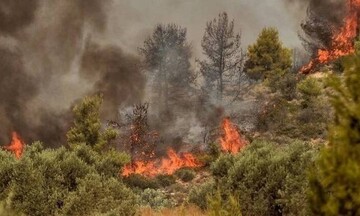  Κεφαλονιά: Πυρκαγιά στον Άγιο Κωνσταντίνο