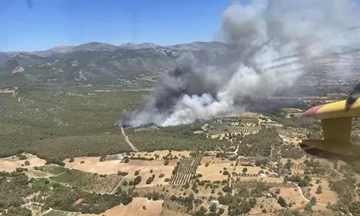 Φωτιά στα Μέγαρα: Μήνυμα του 112 για προληπτική εκκένωση της περιοχής Ζάχουλη