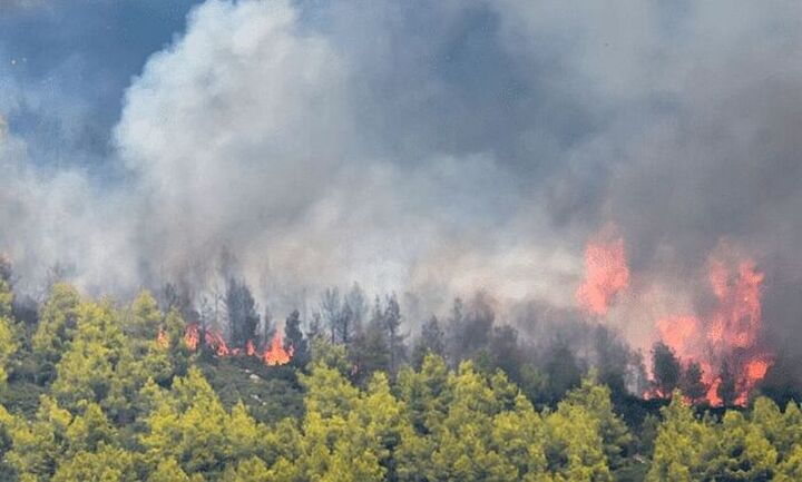 ΕΔΑ Αττικής: Ενημέρωση για την πυρκαγιά στην Πεντέλη