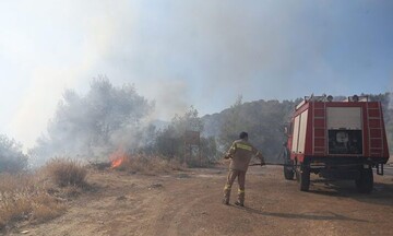  Πυροσβεστική: Βελτιωμένη η κατάσταση στην πυρκαγιά στα Μέγαρα