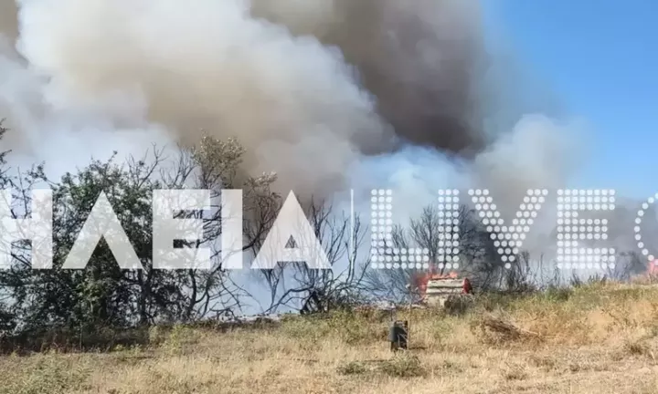 Φωτιά στον Άγναντα Ηλεία: Ενισχύονται οι πυροσβεστικές δυνάμεις - Τραυματίστηκε πυροσβέστης