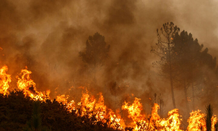 Ε.Ε.: Οι φετινές πυρκαγιές έχουν ήδη καταστρέψει περισσότερη έκταση σε σχέση με το σύνολο του 2021