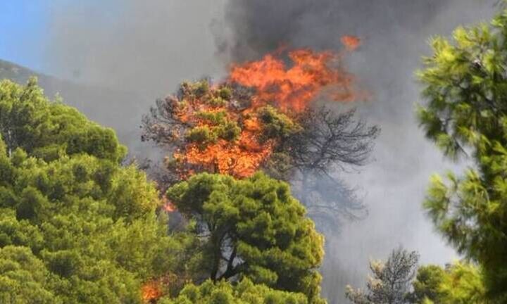 Συνολικά 44 δασικές πυρκαγιές το τελευταίο 24ωρο