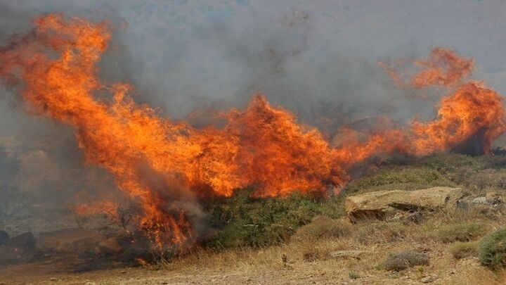 Χαλκιδική: Τρεις δασικές φωτιές σε Κασσάνδρα και Σιθωνία