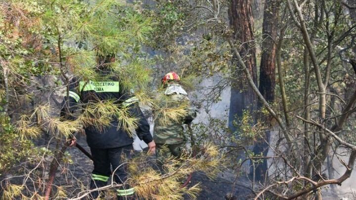 Κυβερνητικες πηγές για την πυρκαγιά στη Δαδιά