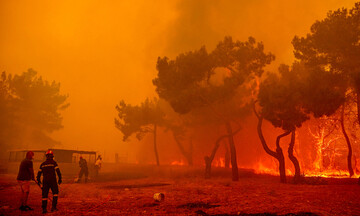Περισσότερα από 25.000 στρέμματα κάηκαν στη Δαδιά στον Έβρο και 17.000 στα Βατερά Λέσβου