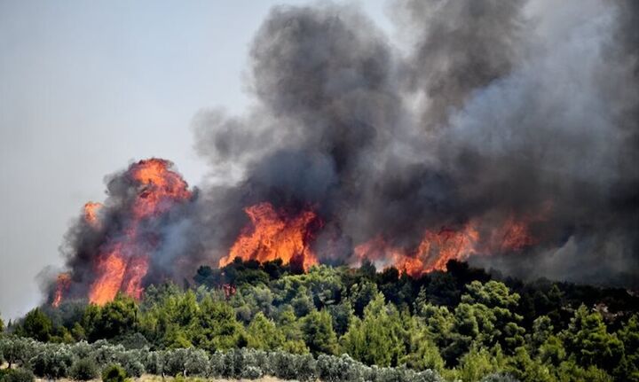 Πολύ υψηλός κίνδυνος πυρκαγιάς αύριο για 4 περιφέρειες