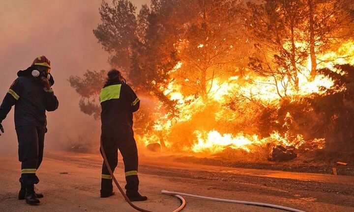 Πυροσβεστική: Συνεχίζεται η μάχη με τις φλόγες στη Δαδιά, βελτιωμένη η εικόνα στη Λέσβο