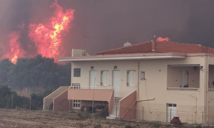 Τριαντόπουλος: Άμεση αποζημίωση των πληγέντων από τη δασική πυρκαγιά στην Λέσβο