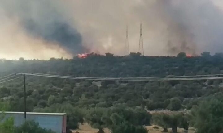 Πυρκαγιά στη Μάνδρα - Μήνυμα του 112 για απομάκρυνση κατοίκων Νέου Πόντου και Νέας Ζωής