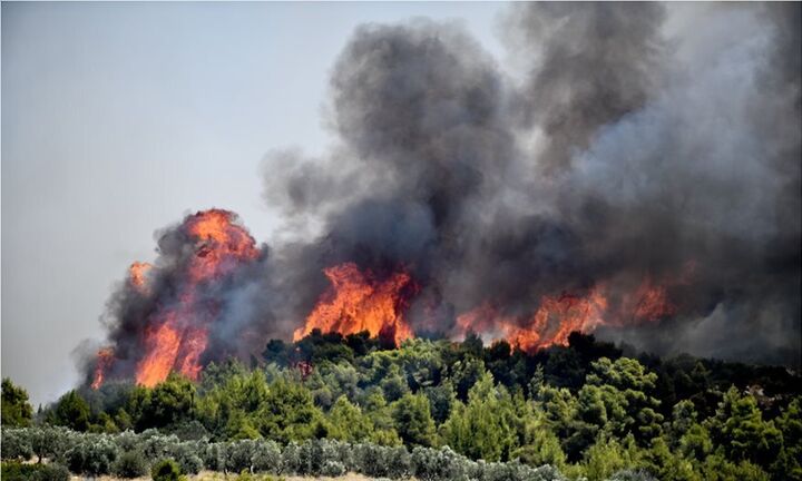 ΓΓΠΠ: Πολύ ύψηλος κίνδυνος πυρκαγιάς την Πέμπτη (28/7) - Ποιες περιοχές είναι στο «πορτοκαλί»