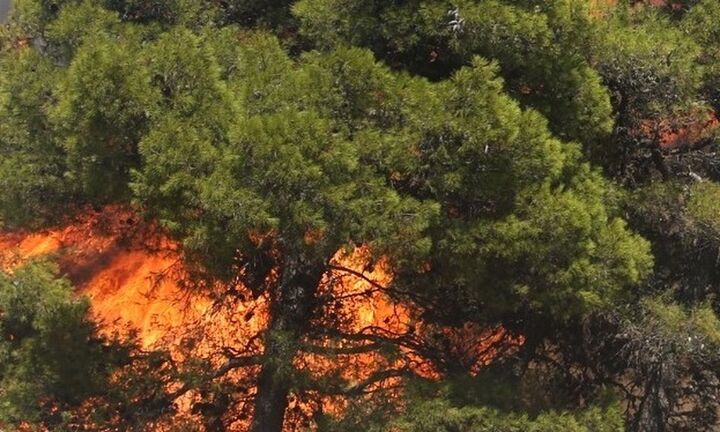  Πολύ υψηλός κίνδυνος πυρκαγιάς την Πέμπτη για πέντε Περιφέρειες