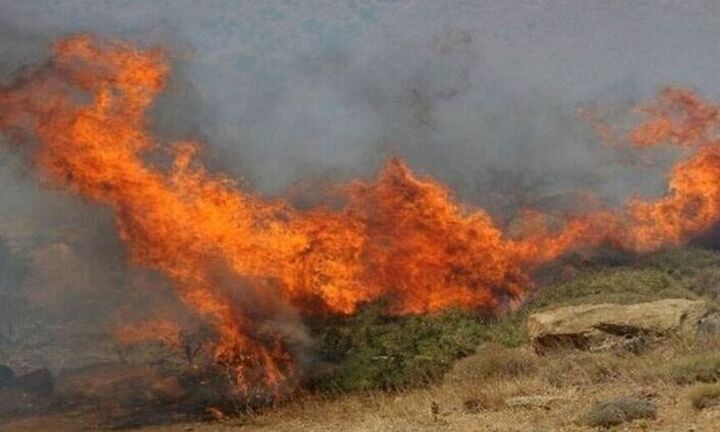Φωτιά σε χαμηλή βλάστηση στο Κορωπί