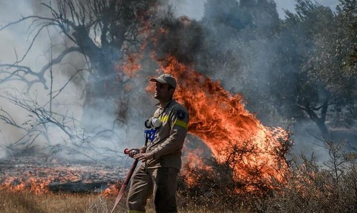  Πυροσβεστική: 39 δασικές πυρκαγιές το τελευταίο εικοσιτετράωρο