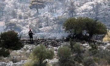 Φωτιά στη Νέα Πέραμο - Βελτιωμένη η εικόνα από το μέτωπο της πυρκαγιάς