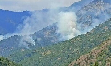  Έσβησε η φωτιά στον εθνικό δρυμό της Βάλια Κάλντα μετά από 16 ημέρες