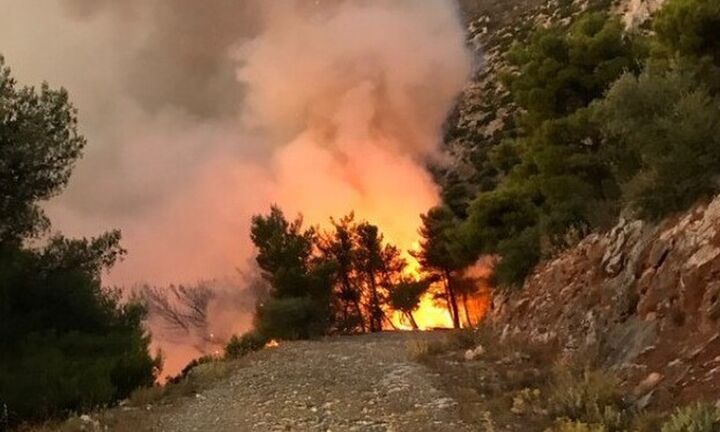   Υψηλός κίνδυνος πυρκαγιάς για πέντε περιοχές την Τετάρτη
