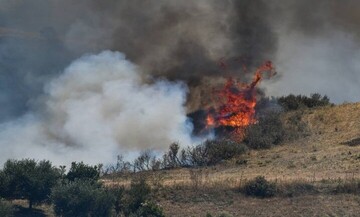 Πυρκαγιά στην περιοχή Σπιάντζα, στην Ηλεία