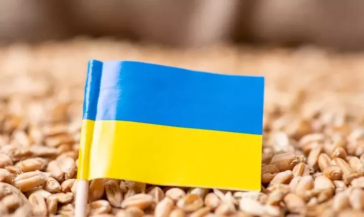  Ουκρανία: Αύξηση 22,7% στις εξαγωγές αγροτικών προϊόντων τον Ιούλιο