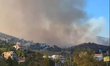 Δήμος Παλλήνης: Νέες απαλλαγές για τις πυρόπληκτες οικογένειες της Πεντέλης