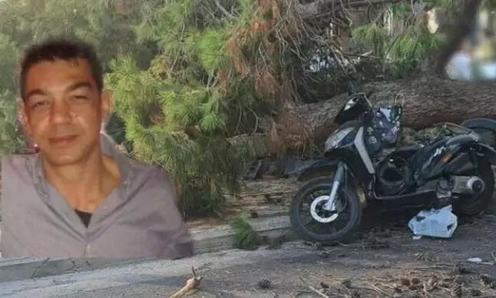 Εισαγγελική παρέμβαση για τον θάνατο του 51χρονου που καταπλακώθηκε από δέντρο στο Ηράκλειο