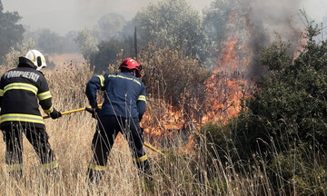  Οριοθετήθηκε η φωτιά στη Φθιώτιδα