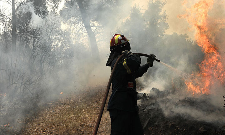  Συνολικά 42 δασικές πυρκαγιές το τελευταίο 24ωρο στη χώρα
