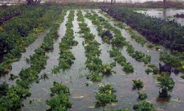 Κοζάνη: Σε κατάσταση έκτακτης ανάγκης ο δήμος Εορδαίας λόγω της κακοκαιρίας