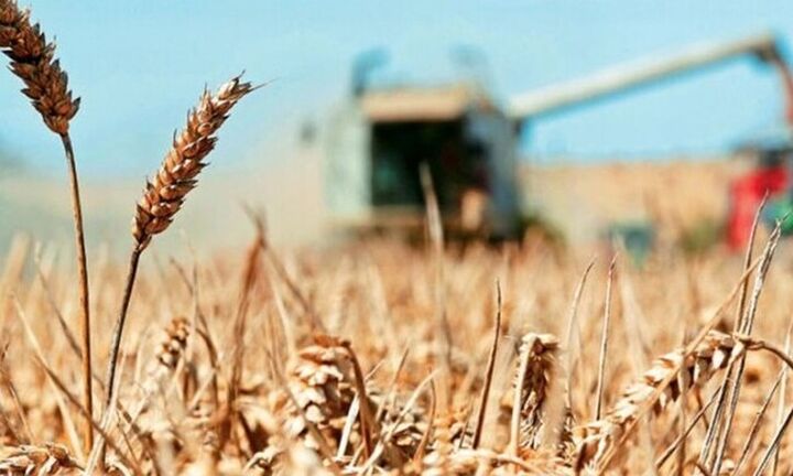 Ρωσία: Έτοιμη να εξάγει έως 30 εκατ. τόνους σιτηρών το β΄ εξάμηνο του 2022