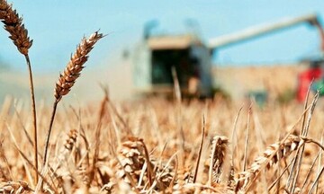 Ρωσία: Έτοιμη να εξάγει έως 30 εκατ. τόνους σιτηρών το β΄ εξάμηνο του 2022