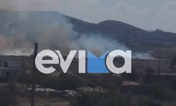 Φωτιά τώρα σε αγροτική έκταση στην Εύβοια
