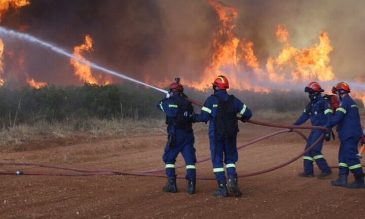  Πυροσβεστική: Σε 678 πυρκαγιές κλήθηκε να επέμβει την τελευταία εβδομάδα