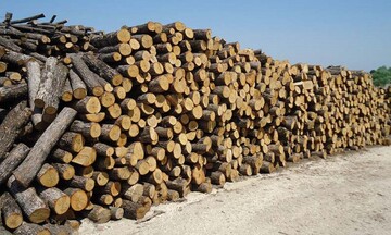 Καυσόξυλα: «Πλαφόν» στο περιθώριο μικτού κέρδους – Τι προβλέπει η τροπολογία