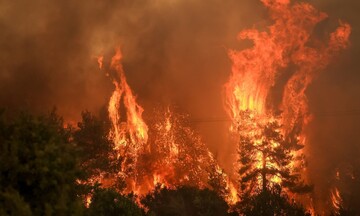 Ασφαλιστικές εταιρείες: 6 εκατ. ευρώ στους πληγέντες από τις πυρκαγιές του Ιουλίου στην Αττική 